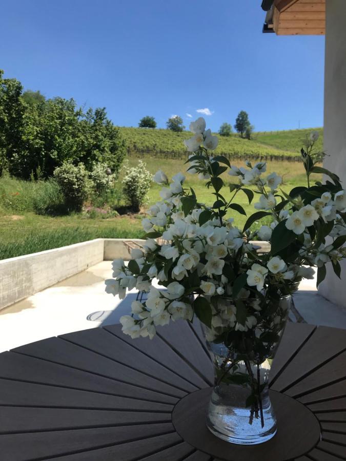 Montegrosso dʼAsti Sotto La Vigna Charm Stay Adults Only Vacation Suite Appartment المظهر الخارجي الصورة